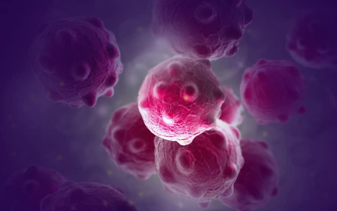 RFX7 wirkt der Entstehung von Krebs entgegen