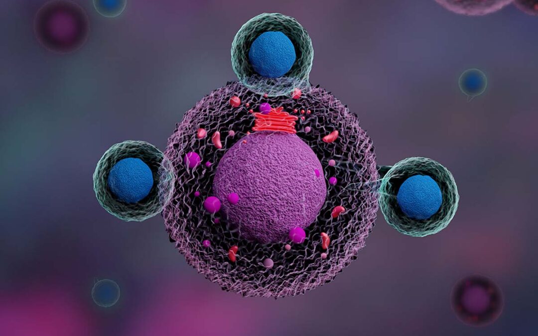 CAR-T Zellen überzeugen im Einsatz gegen Autoimmunerkrankung
