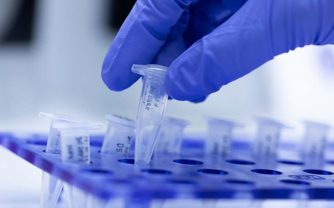 Neues PCR-Verfahren beschleunigt Diagnostik von bakteriellen Infektionen
