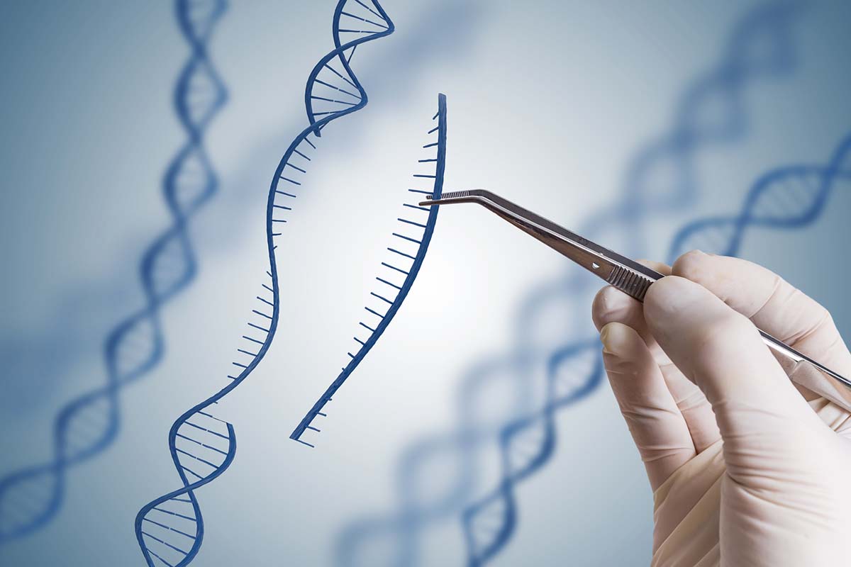 Abbildung DNA-Strang.
