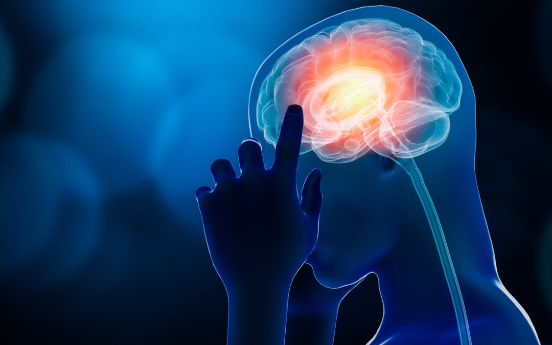 Rolle der Hirnhautschichten bei autoimmunentzündlichen Erkrankungen untersucht