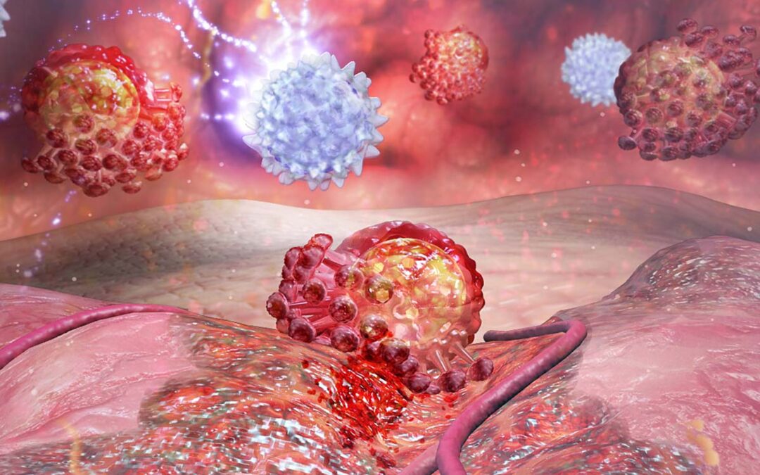 Ketonkörper versorgen Immunzellen mit Energie