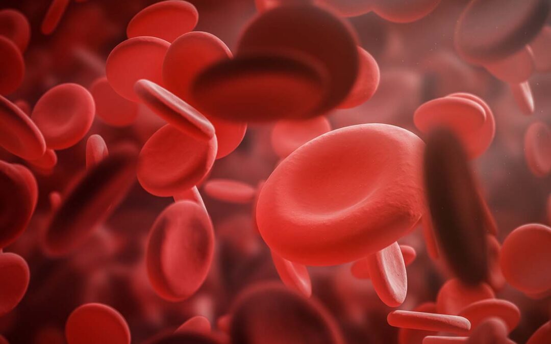 Funktionstüchtigkeit roter Blutzellen von Covid-Patienten untersucht
