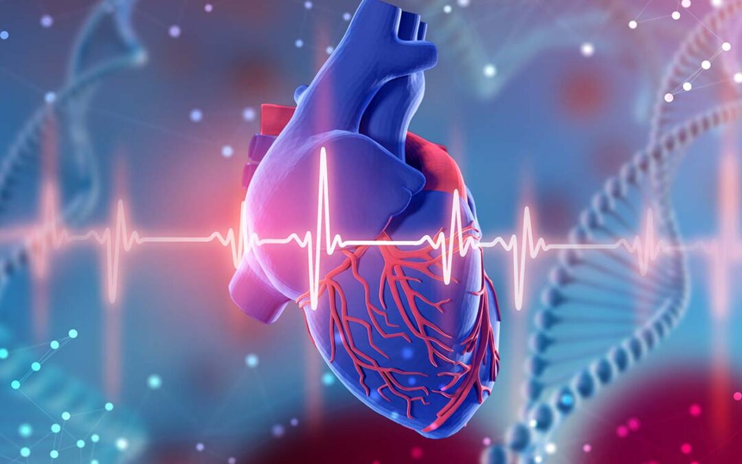 Wie Gendefekte Herzschwäche verursachen können
