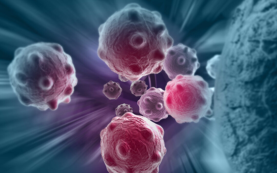 Immunzelle bremst Wachstum von Tumoren
