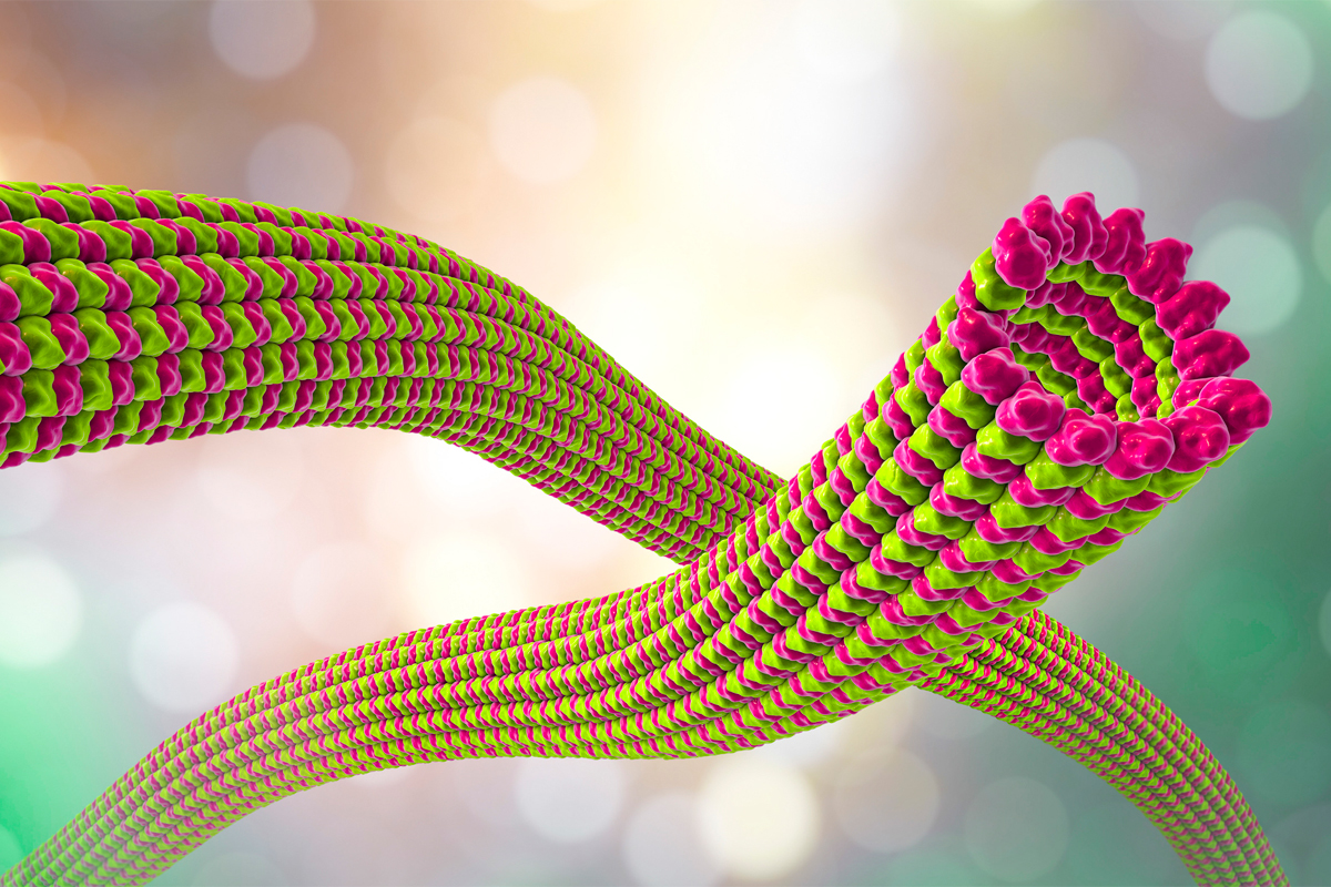 Mikrotubuli