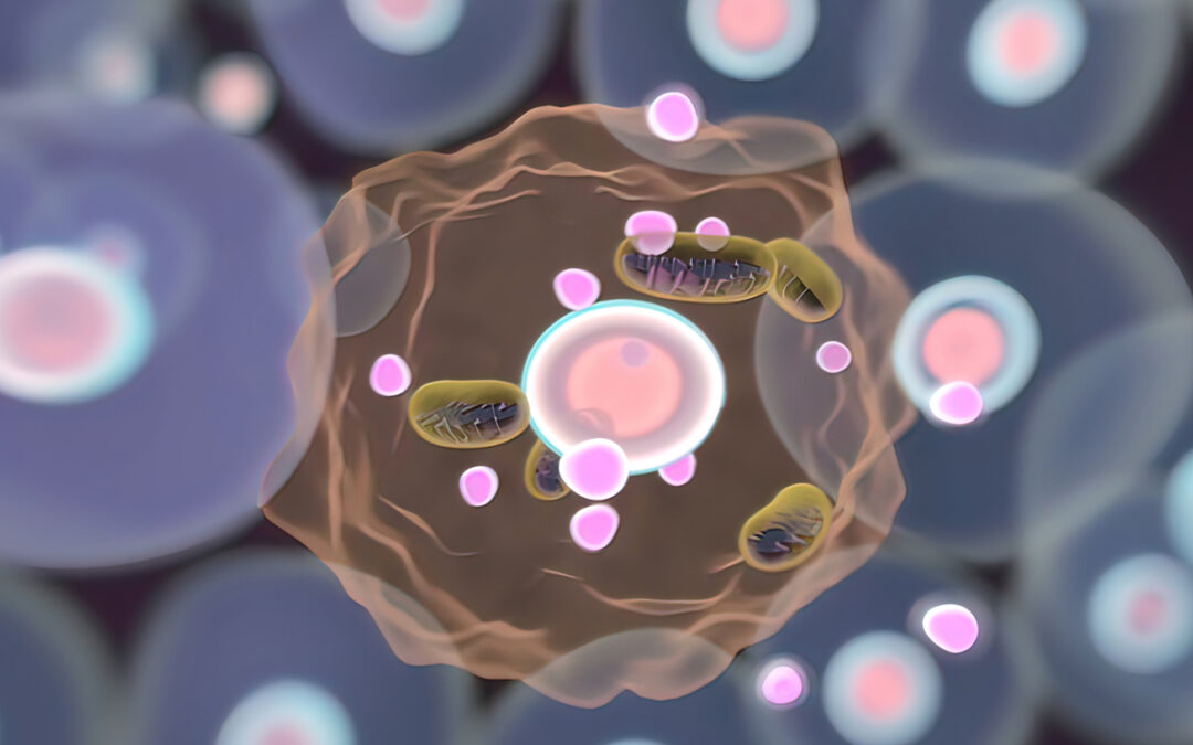 Wie Mitochondrien ihre Form bewahren