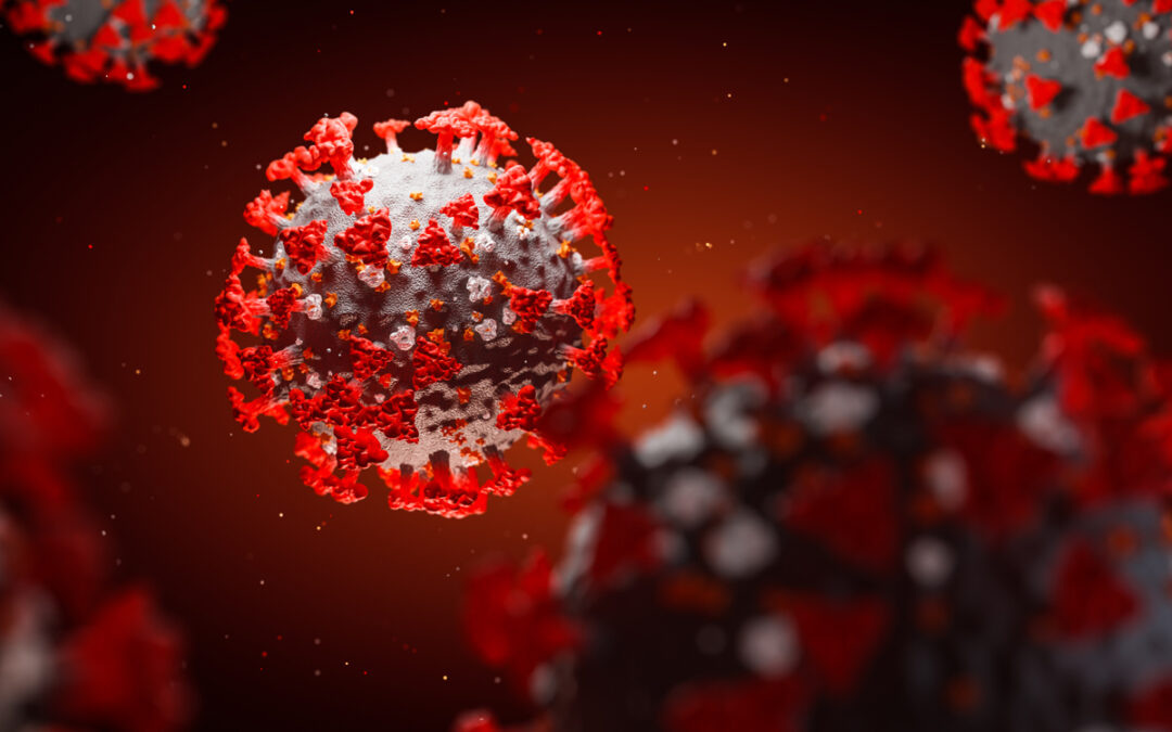 Wie der Körper RNA-Viren effektiv und selektiv erkennt