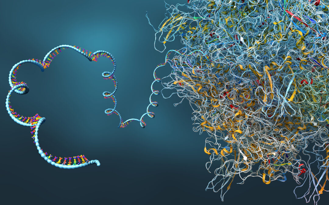 Abbau von überzähligen RNAs im Zellkern untersucht