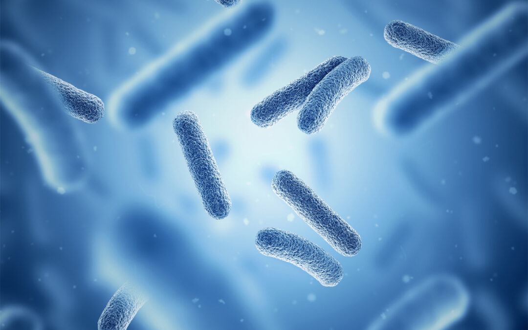 Bakterien tauschen genetische Informationen aus