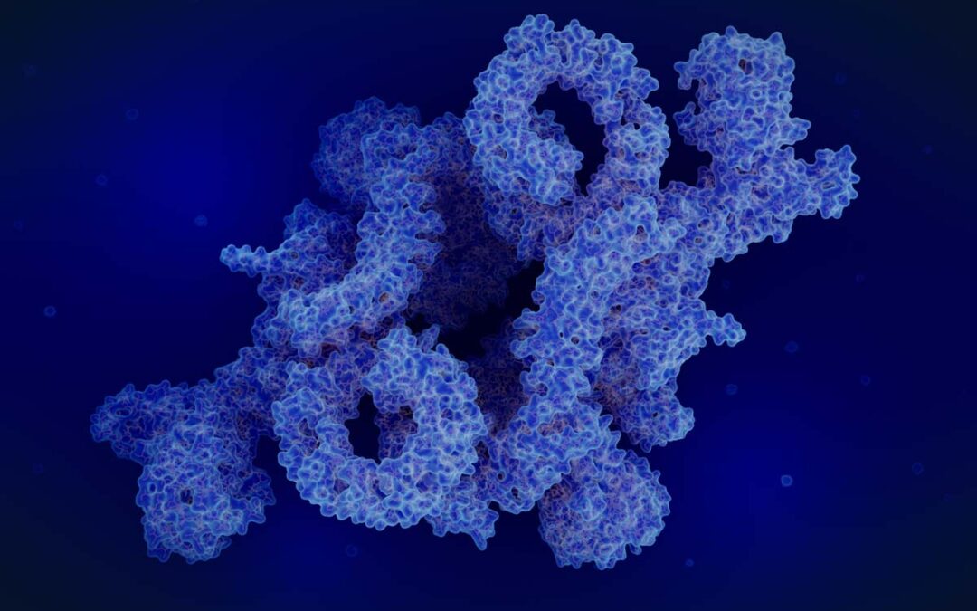 Kryo-Elektronenmikroskop macht Struktur von Proteinkomplex sichtbar