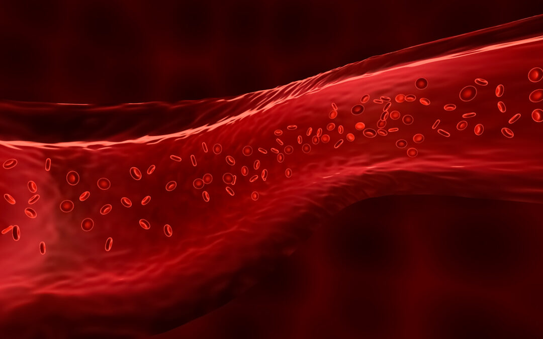 Immunzellen schädigen Gefäße bei Bluthochdruck