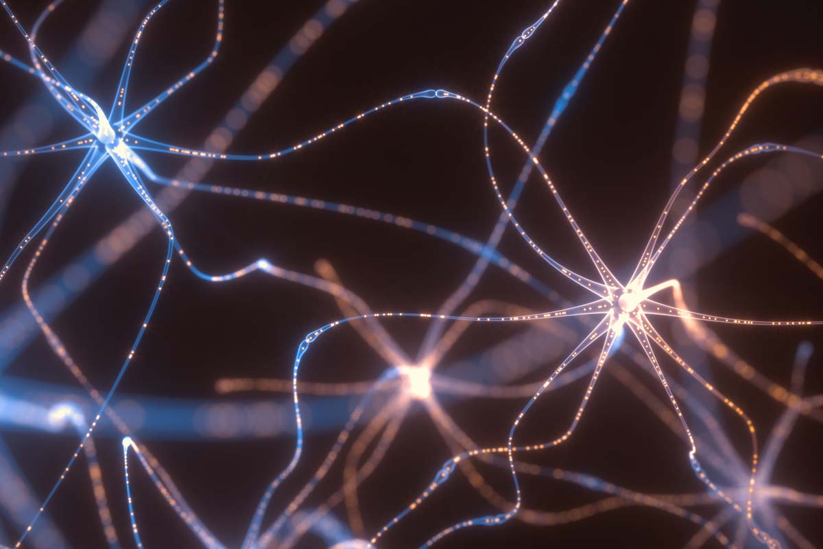 Abbildung von Neuronen.