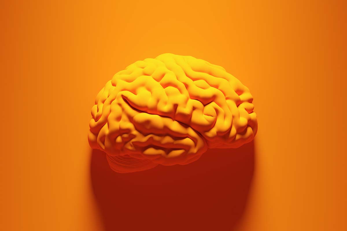 Gehirn auf orangem Hintergrund.