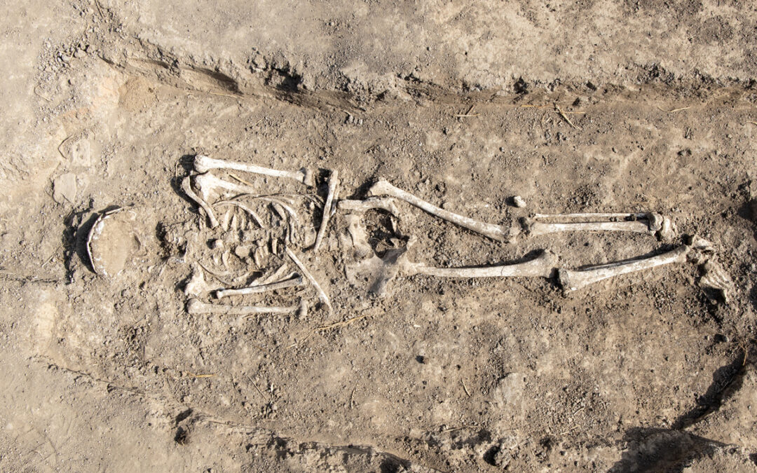 Verschiedene Krankheitserreger in frühmittelalterlichen Skeletten entdeckt