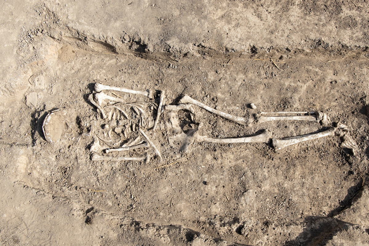 Menschliches Skelett bei archäologischen Ausgrabungen