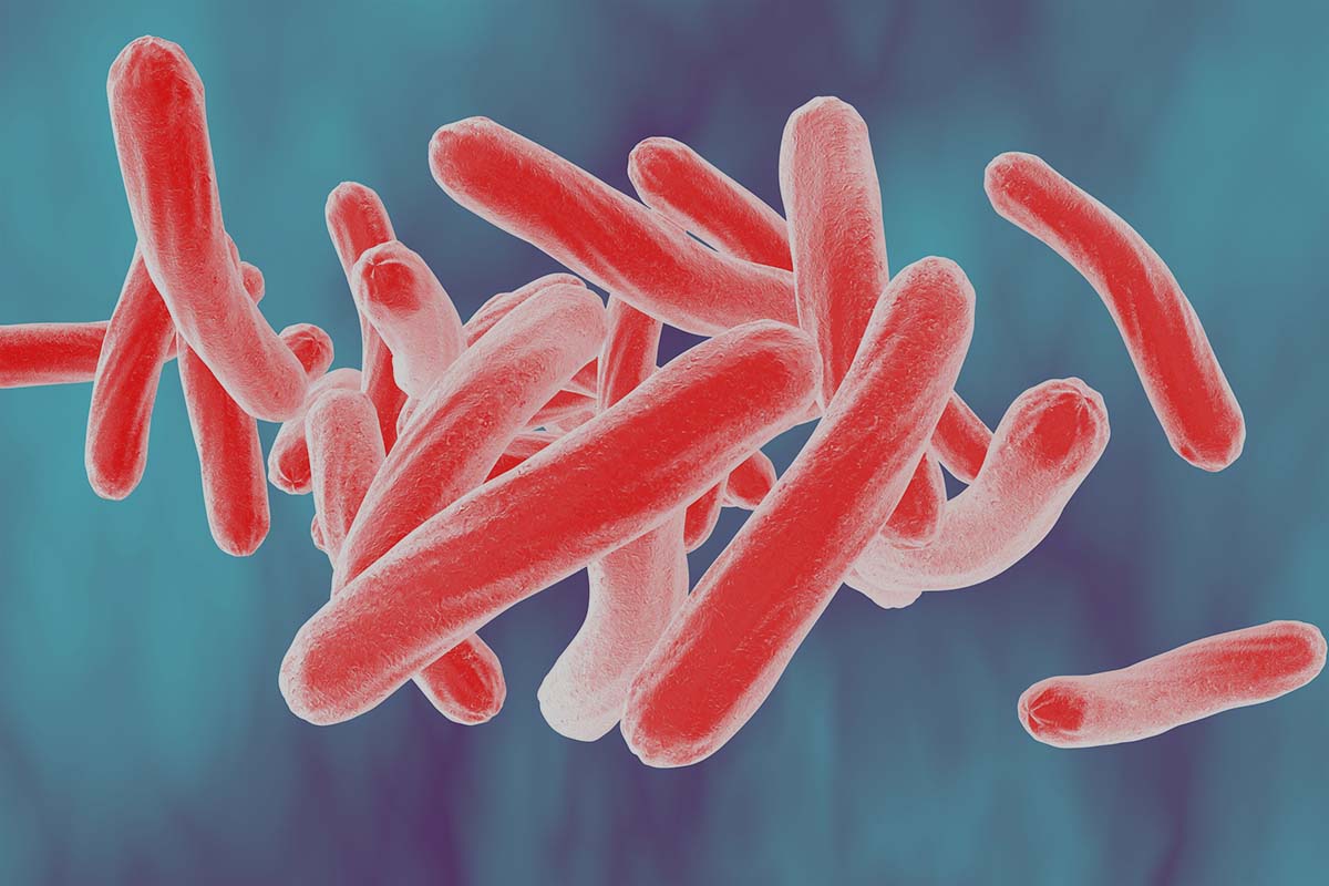Abbildung von Tuberkulose-Erregern Mycobacterium tuberculosis.