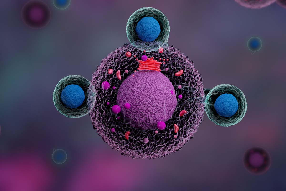 Abbildung von CAR-T-Zellen, die eine Krebszelle angreifen.