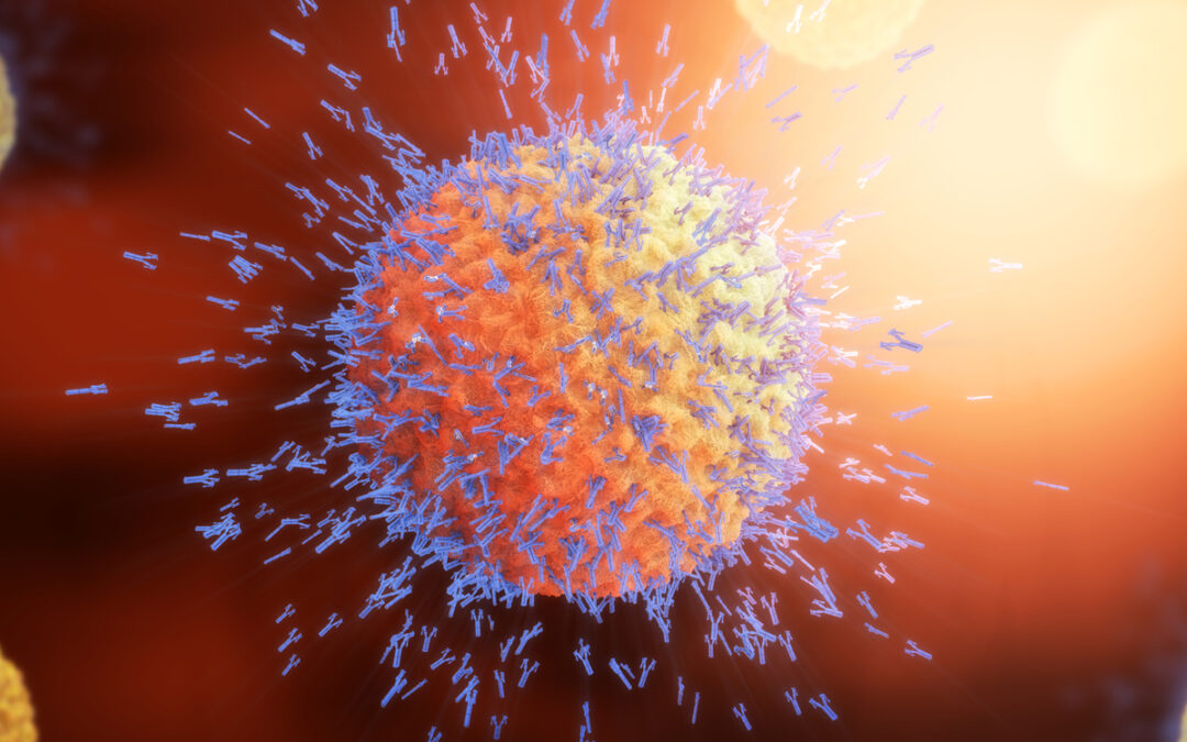 Wie bestimmte Immunzellen chronische Infektionen abwehren