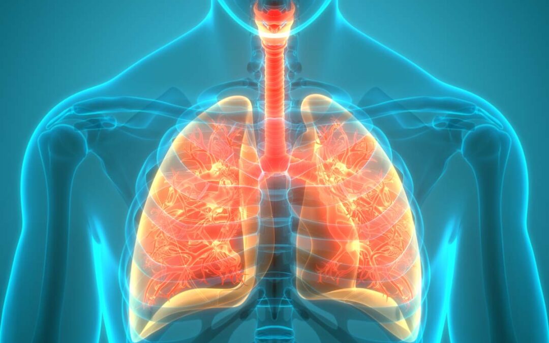 Was die Regenerationsfähigkeit der Lunge beeinflusst