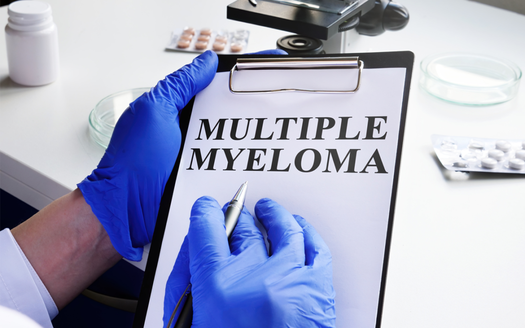 Krankheitsmodelle für zwei Subtypen des Multiplen Myeloms