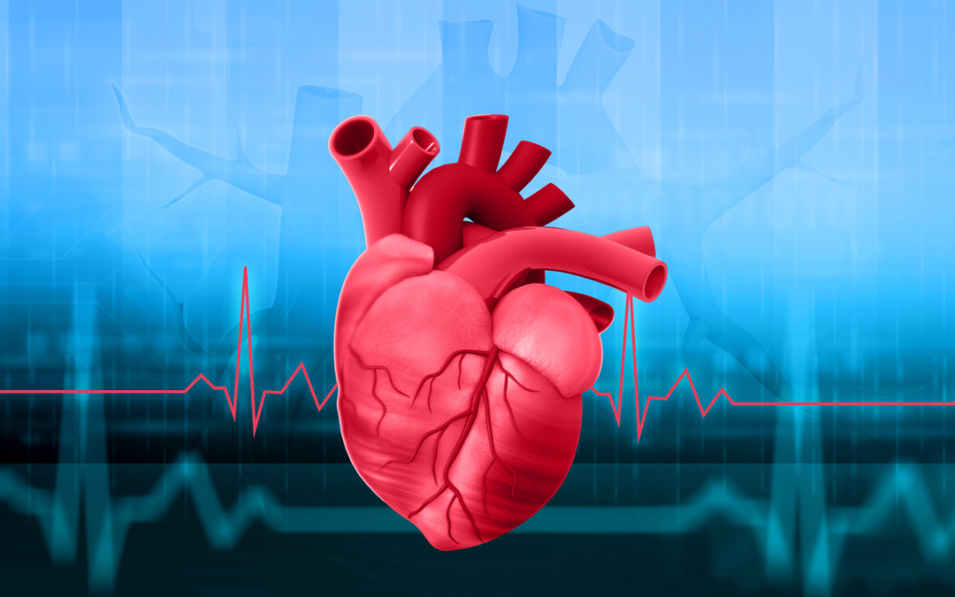 Regulationsprogramm hinter der Herzentwicklung verstehen