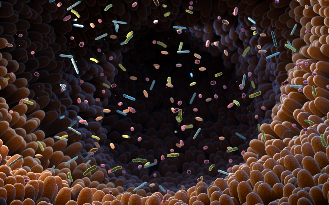 Regulation des Darmmikrobioms durch Enzymkomplex