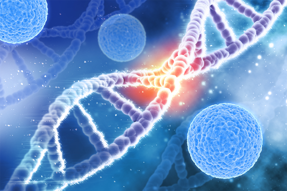 Viruszellen und DNA-Stränge