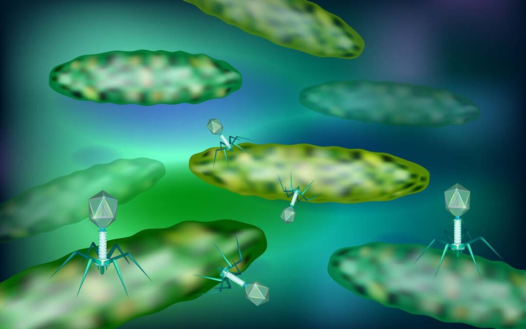 Das Potenzial von Bakteriophagen in der Medizin – Teil 1