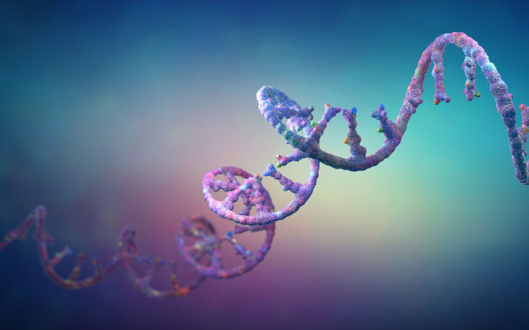 RNA-Reparaturmechanismus bei menschlichen Zellen entdeckt