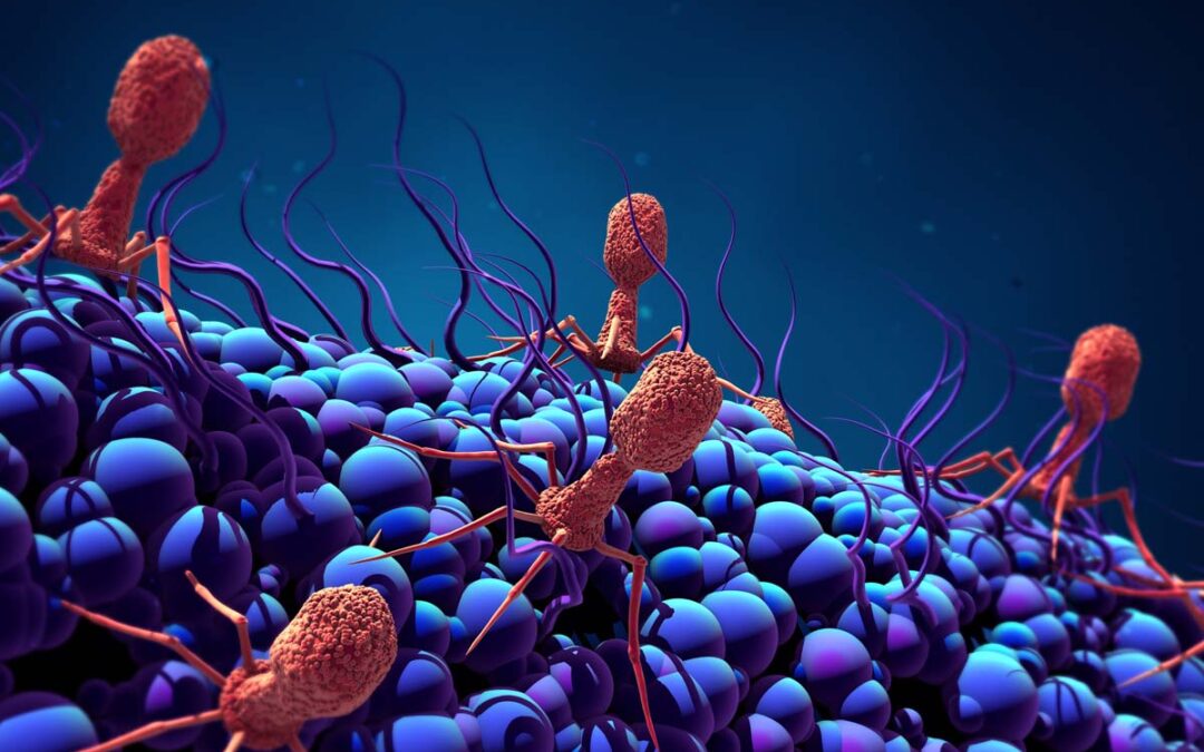 Das Potenzial von Bakteriophagen in der Medizin – Teil 2