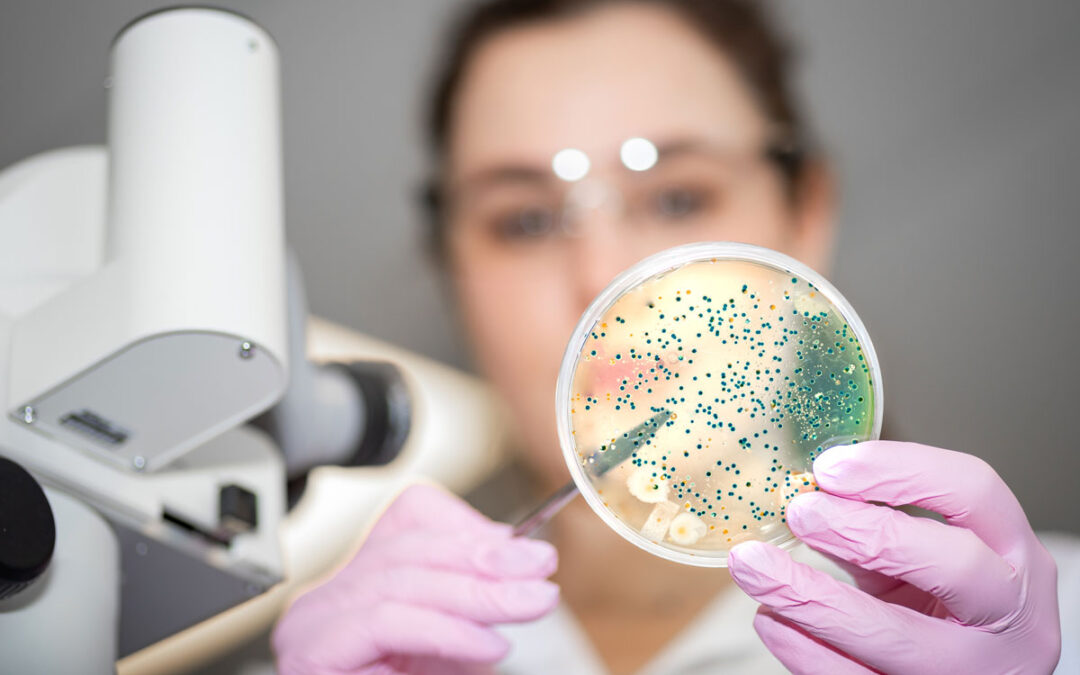 Labor sucht nach neuen antibiotischen Wirkstoffen