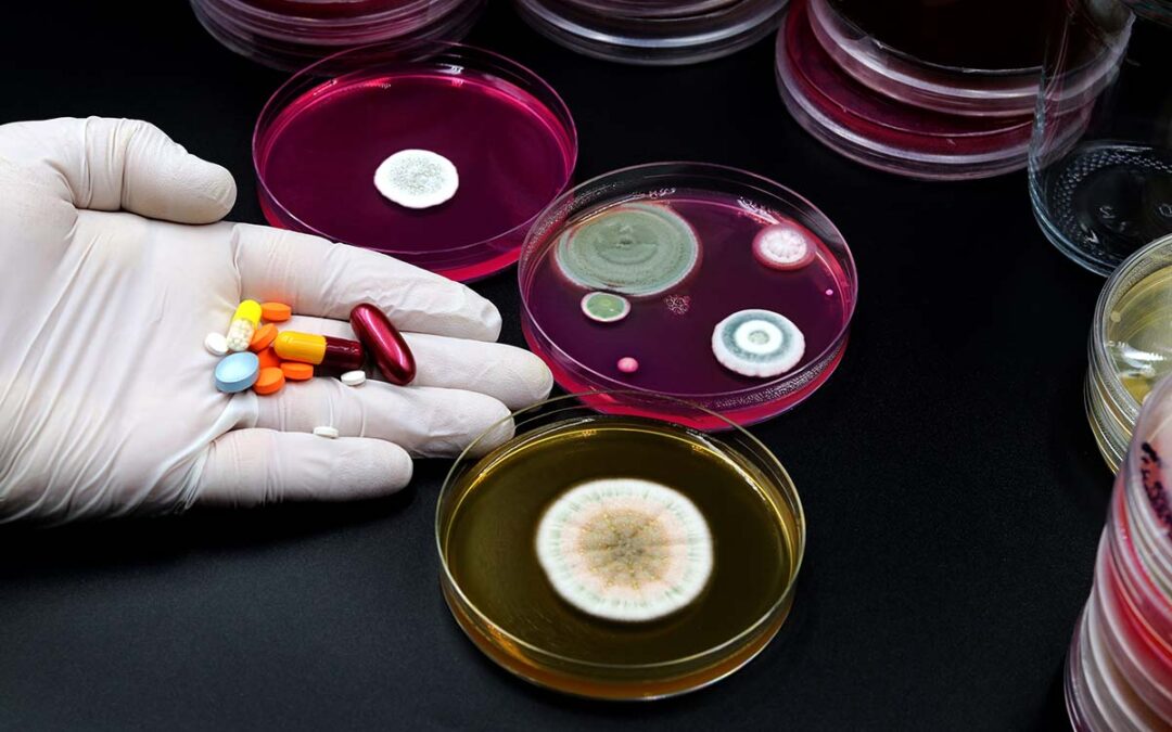 Studie enthüllt Langzeitbesiedlung mit resistenten Bakterien