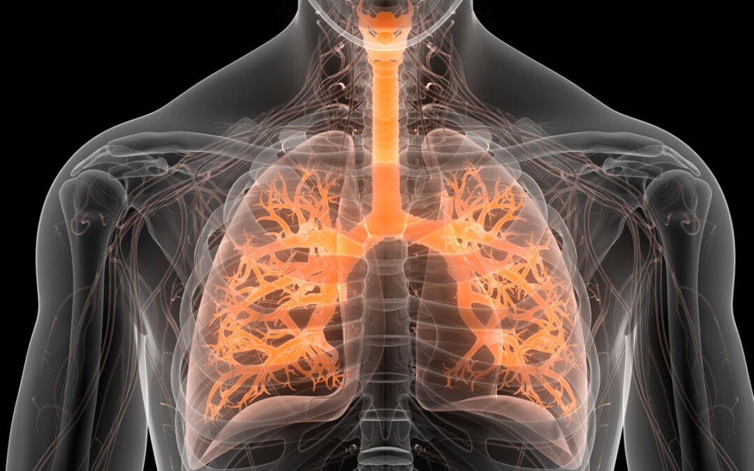 Zur Rolle des Wirtsgenom auf das Lungenmikrobiom