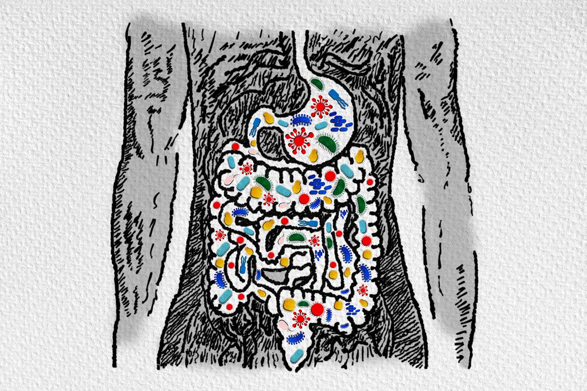 Abbildung Zeichnung Mikrobiom im Magen-Darm-Trakt