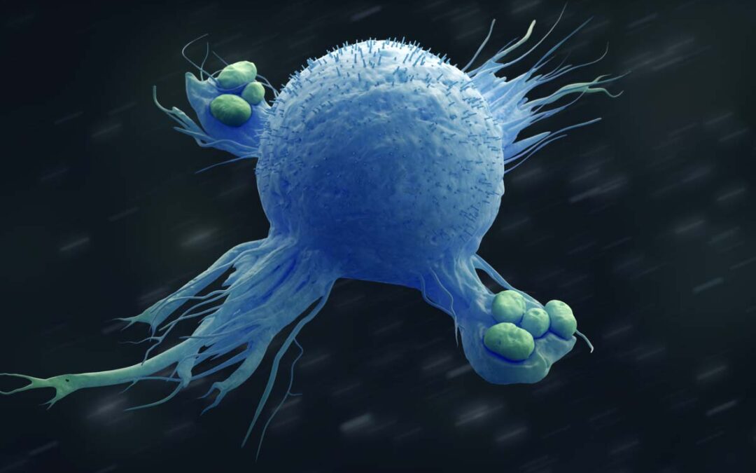 Molekulare Knotenpunkte für Tumorwachstum und Metastasenbildung entdeckt