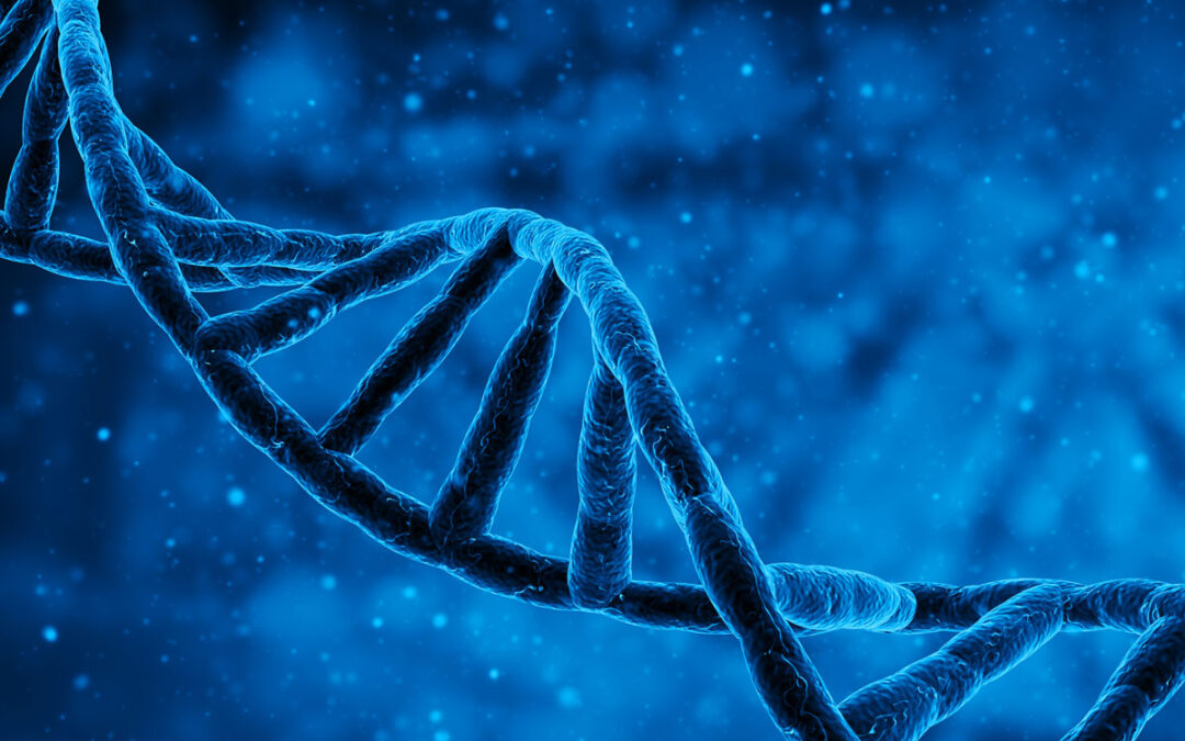 Neue Einblicke in die physikalischen Eigenschaften der DNA