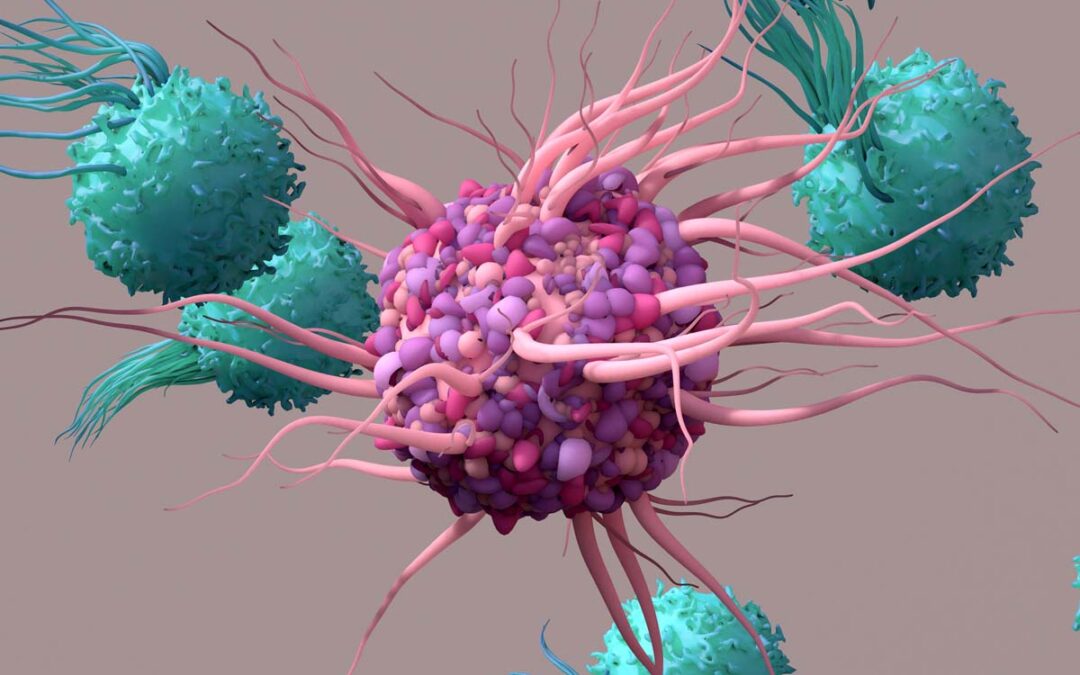 Dendritische Zellen des Immunsystems bilden dreidimensionale Netzwerke