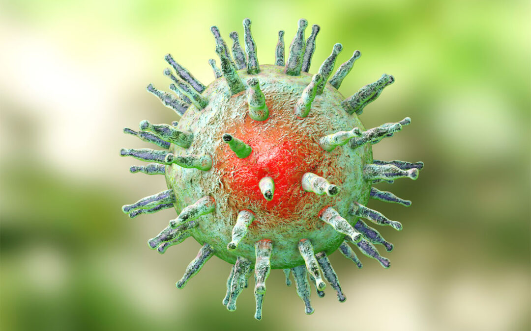 Personalisierte T-Zellen gegen EBV-Infektionen