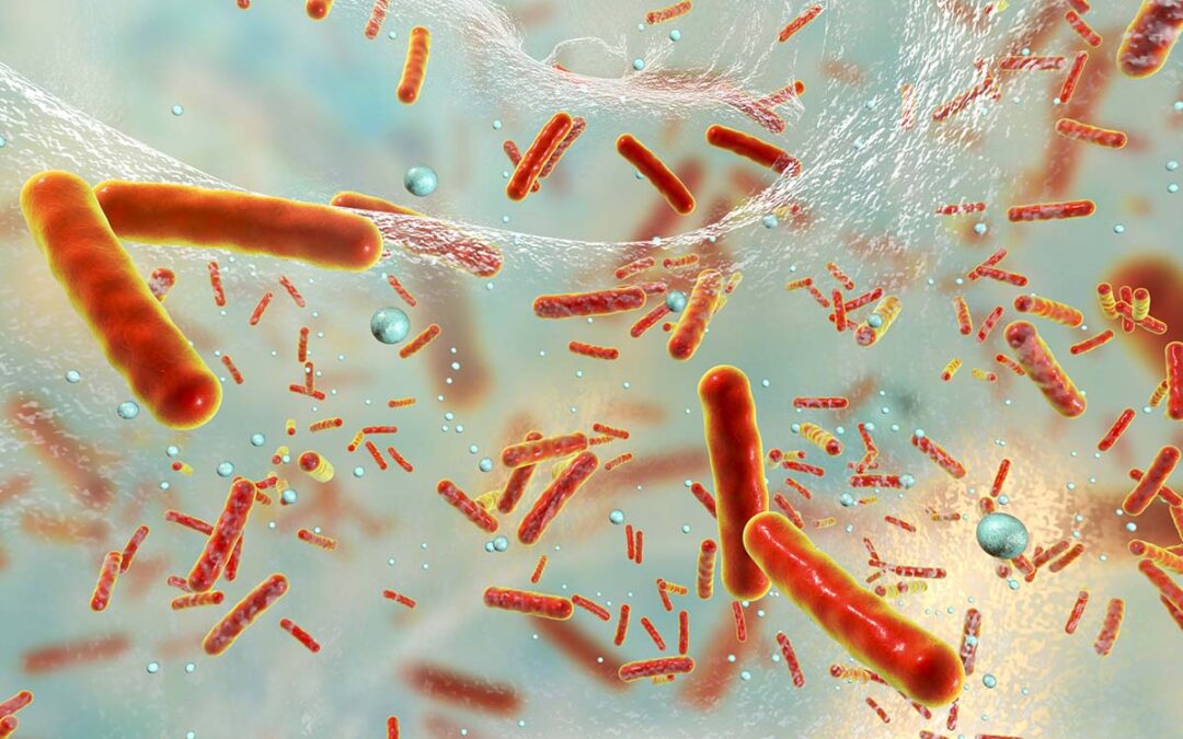 Die Geheimnisse der Staphylococcus aureus-Infektionen enthüllt