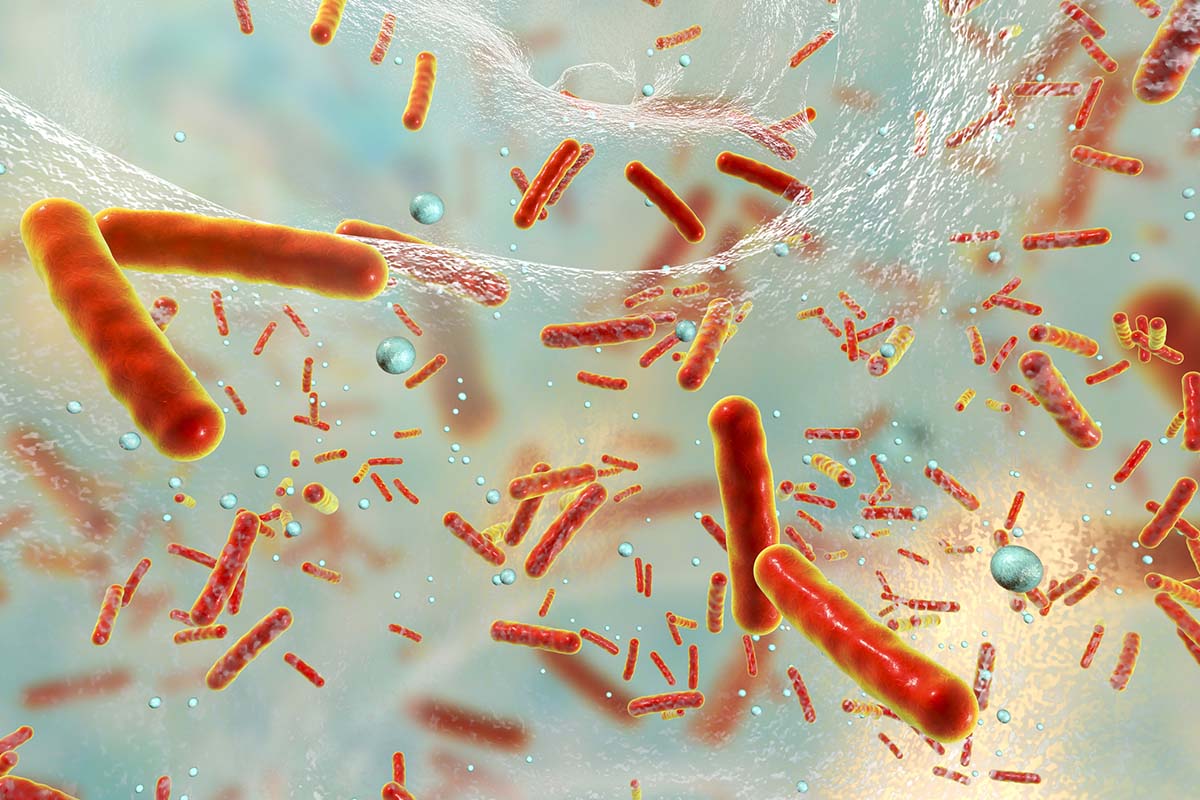 Bakterien in Biofilm.