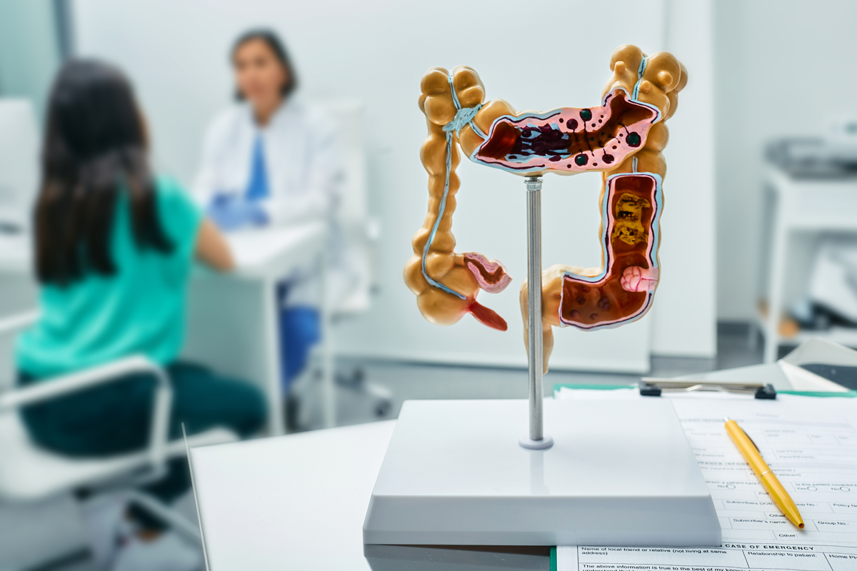 Anatomisches Darmmodell auf Arzttisch