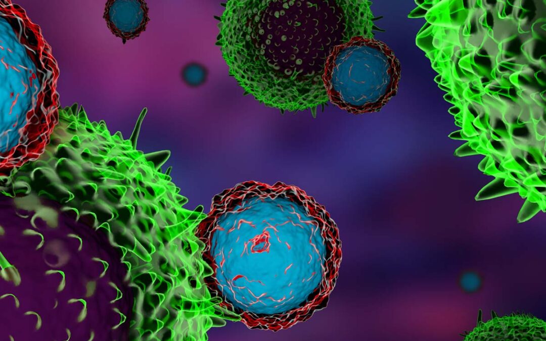 Einblicke in das Verhalten von regulatorischen T-Zellen im Immunsystem