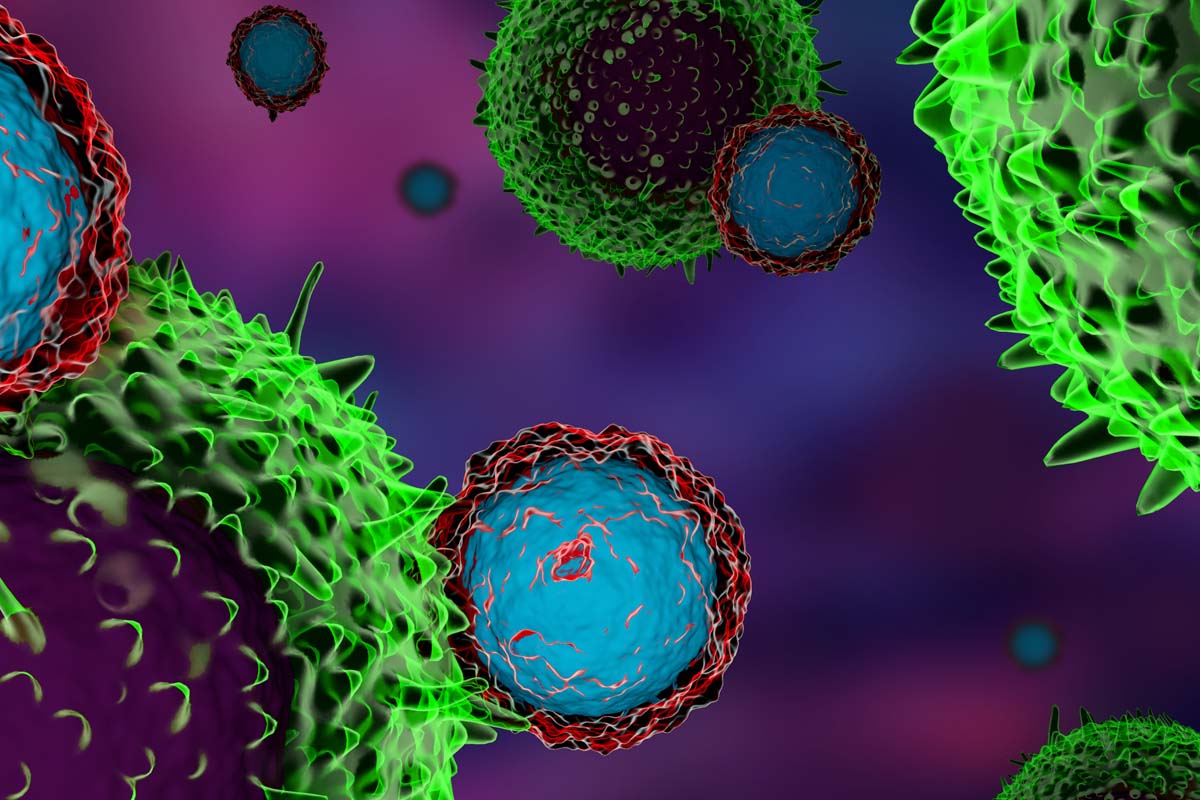 T-Zellen attackieren Krebszellen