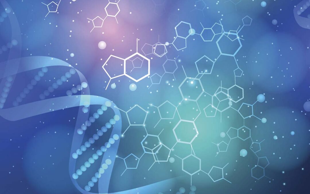 Enzym verhindert Ausbreitung parasitärer DNA im Genom