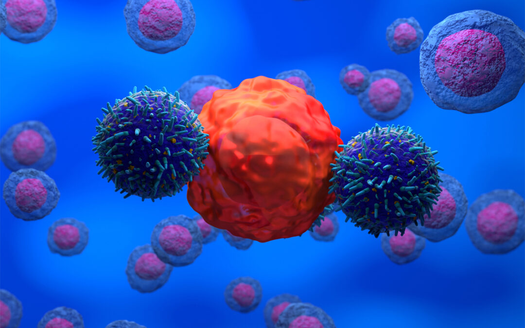 Verbesserte Anti-Tumor-Wirkung von CAR-T-Zellen