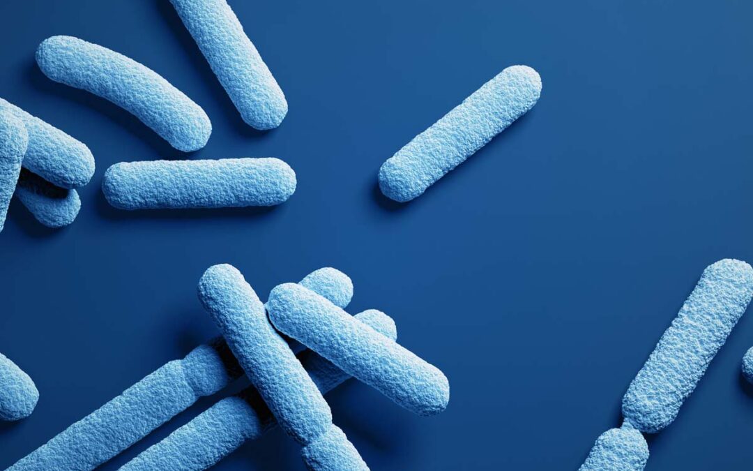 Neue Erkenntnisse über die Entstehung von Bakterienschwärmen