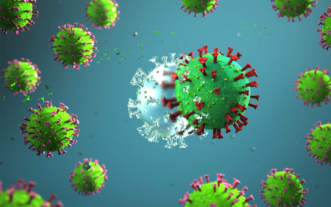 Wie sich das Immunsystem auf neue Virusvarianten vorbereitet