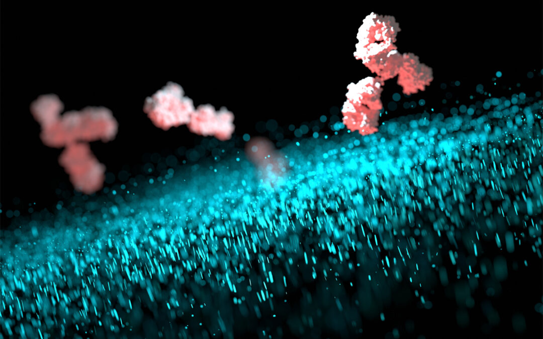 Visualisierung der ASC-Speck Struktur im Immunsystem