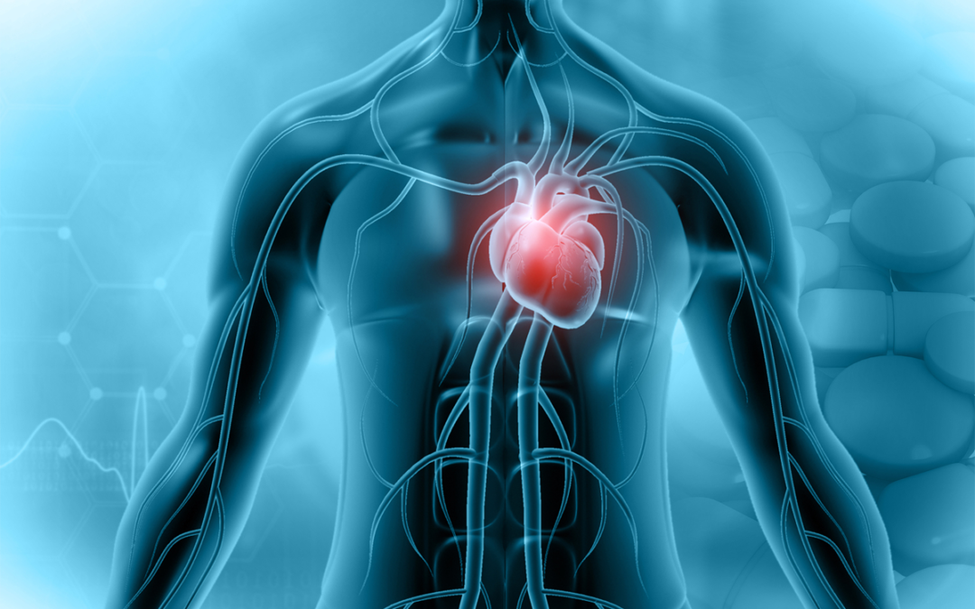 Neue Erkenntnisse zur viralen Herzmuskelentzündung